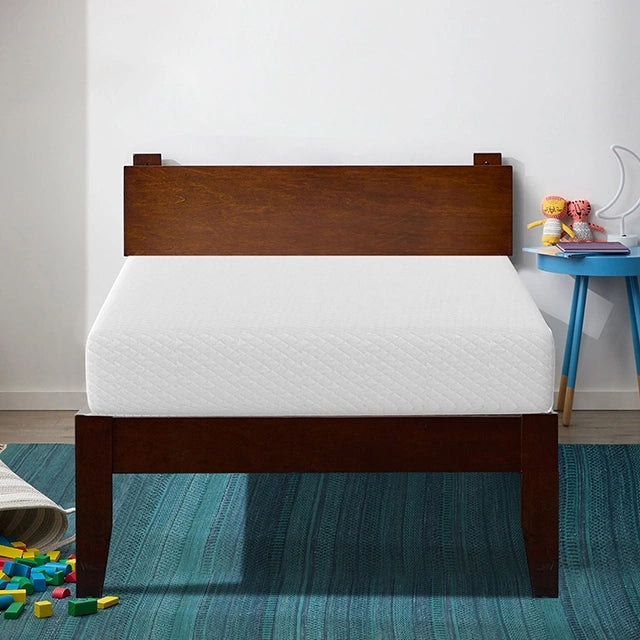 Artemisia 10" E.King, Full, Twin, & Queen Memory Foam Mattress