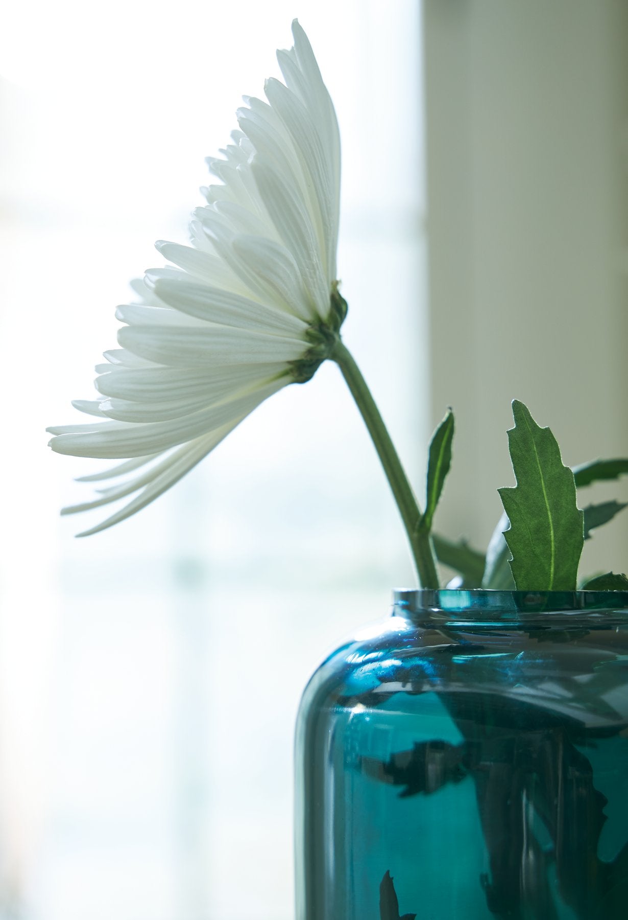 Inisland Vase - Joseph's Furniture (East Orange, NJ)