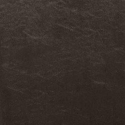 Kimonte Dining Chair Set - Joseph's Furniture (East Orange, NJ)