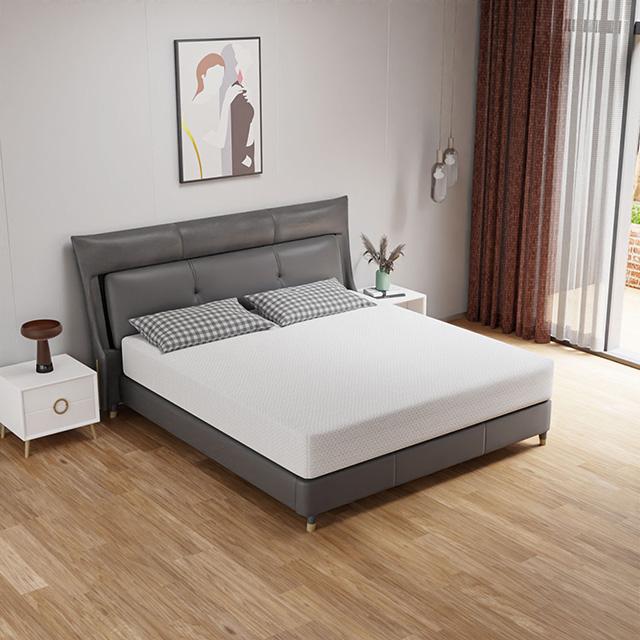 Forsythia 10" Queen Green Tea Gel Memory Foam - Joseph's Furniture (East Orange, NJ)