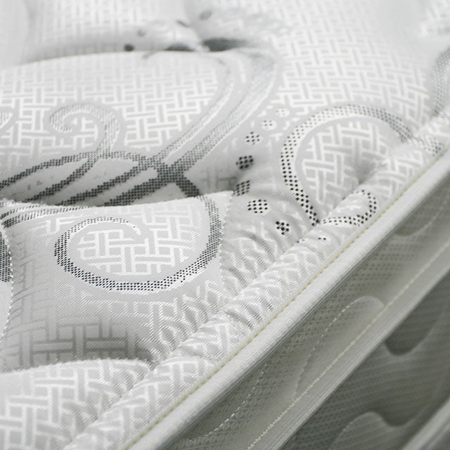 JALEN White 9" Euro Top Mattress, Queen - Joseph's Furniture (East Orange, NJ)