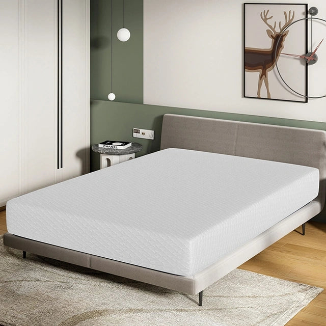 Artemisia 10" E.King, Full, Twin, & Queen Memory Foam Mattress