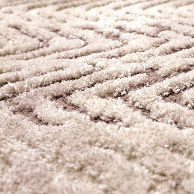 Millsboro Area Rug