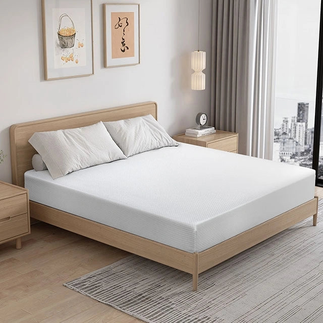 Artemisia 12" Memory Foam Mattress
