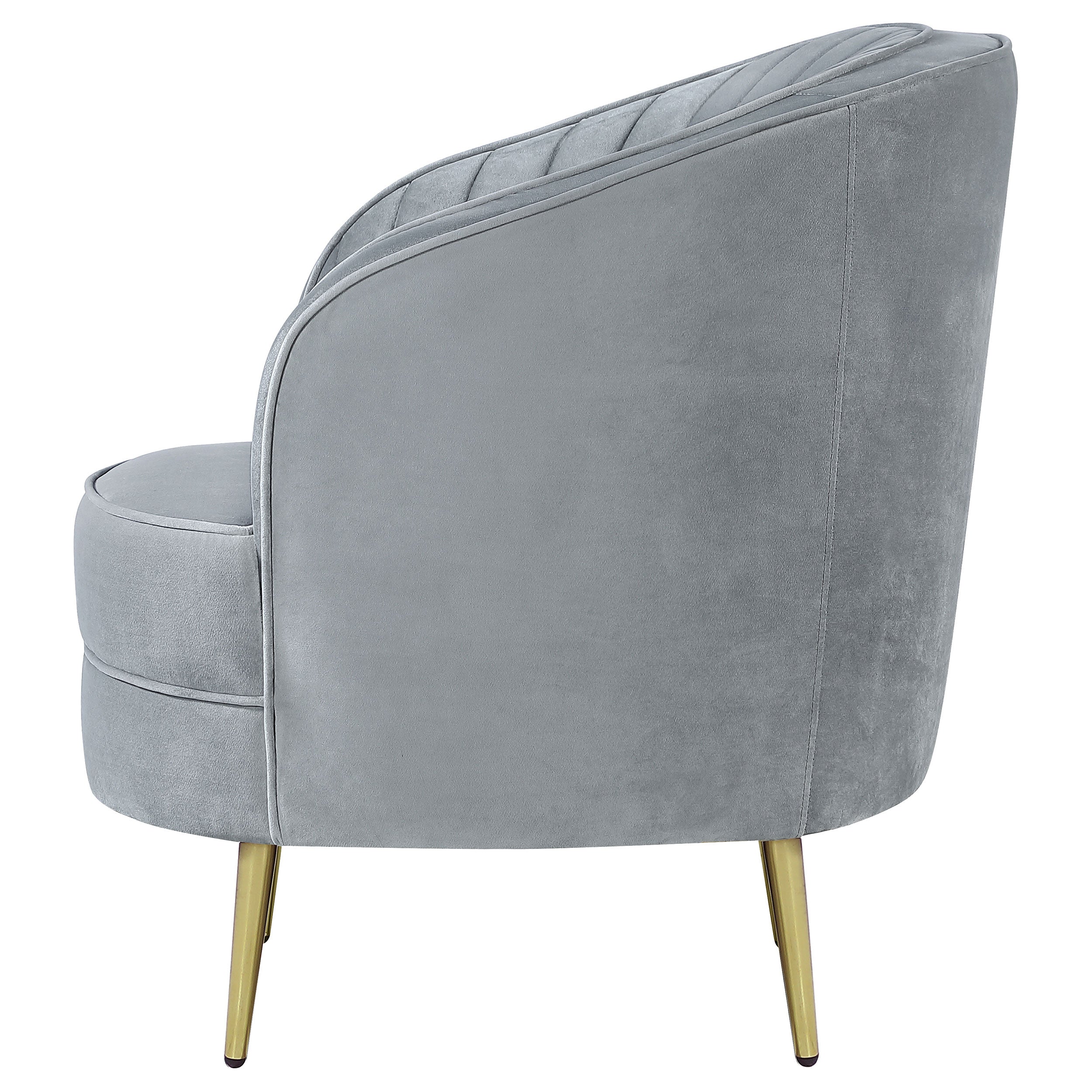 Sophia Accent Chair - Joseph's Furniture (East Orange, NJ)