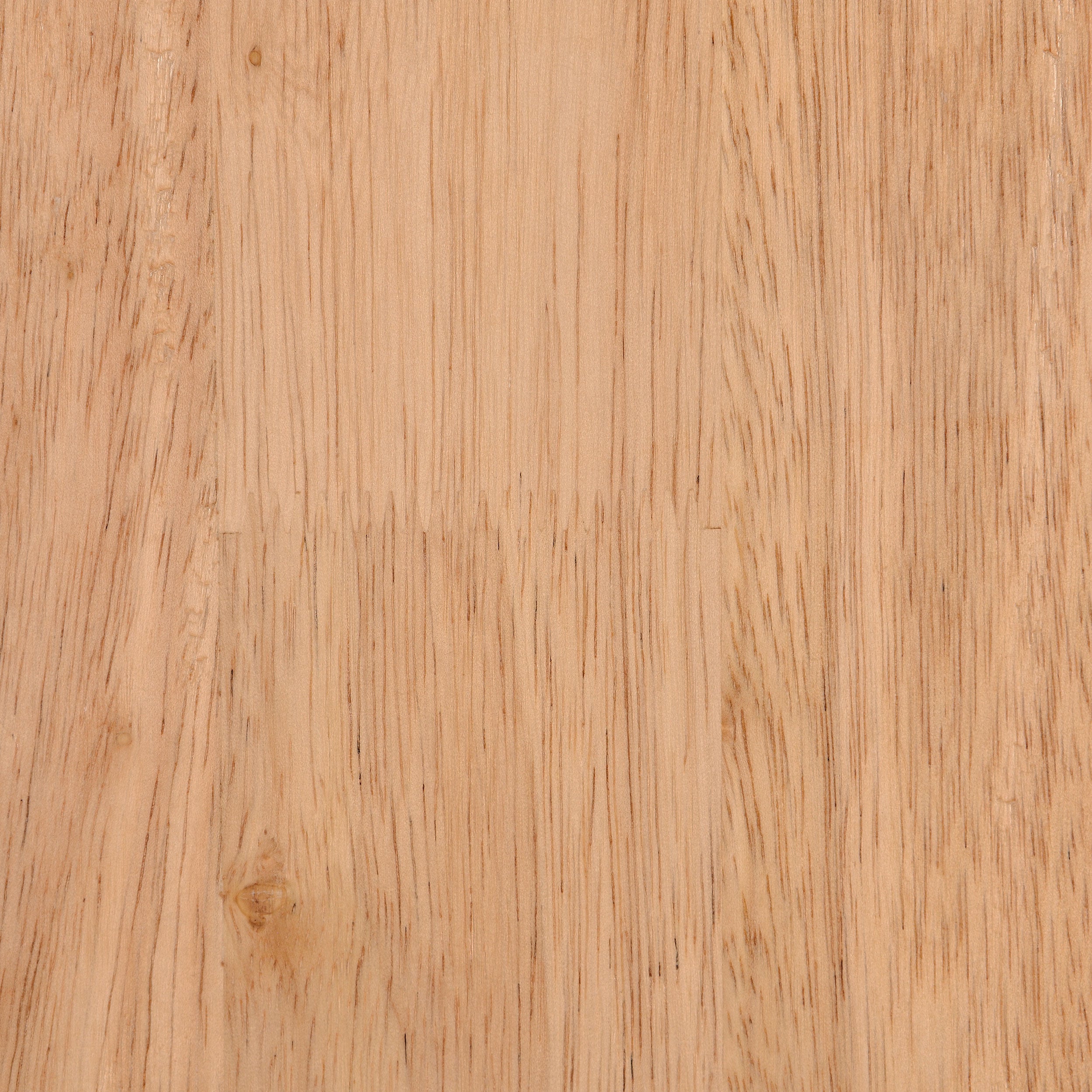 Fitzroy Accent Chair - Joseph's Furniture (East Orange, NJ)