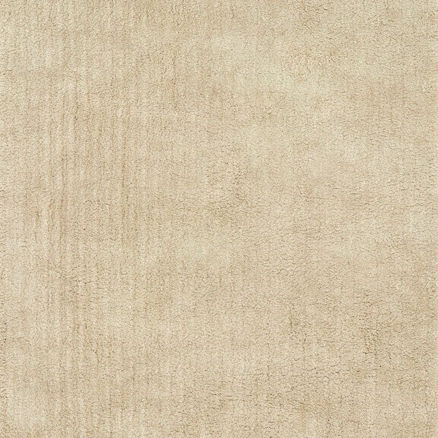 Zala Shag Medium Rug